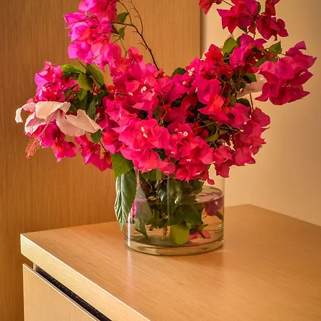 Vega Λαμπεντούζα