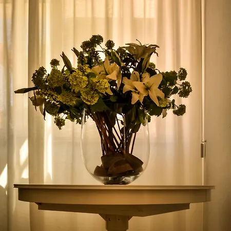 Vega Ξενοδοχείο